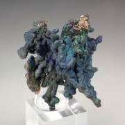 CHALCOCITE, DJURLEITE
