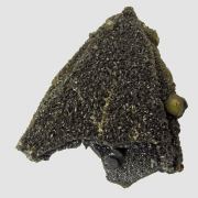 Siderite cast pseudo. after Baryte