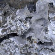 Faujasite with Augite in Limbergite matrix