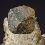 Bornite
