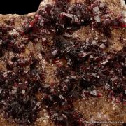 Wendwilsonite