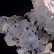 Goshenite & Fluorite on Schorl