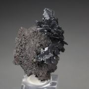 TENORITE