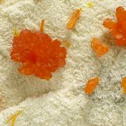 Orpiment, dolomite