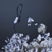 Silver - wires with Quartz