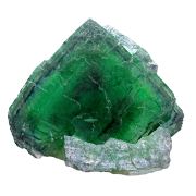 Fluorite KILLER OKORUSU