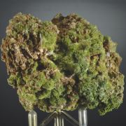 Pyromorphite 
