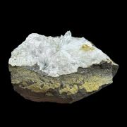 Whewellite CZECH REP.
