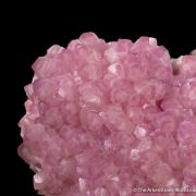 Calcite var. Cobaltoan