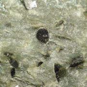 Ottrelite