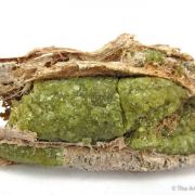 Andradite Garnet var. Demantoid, with Chrysotile