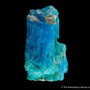 Krohnkite with Natrochalcite