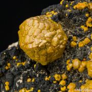 Mimetite var. Campylite