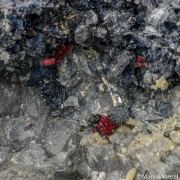 Kermesite, Valentinite