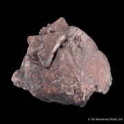 Hauerite (huge crystal for species)