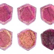 Tourmaline Var. Liddicoatite