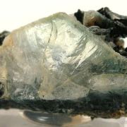 Whitlockite