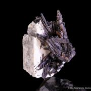 Birnessite ps. Serandite, Albite with Biotite