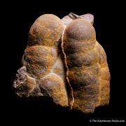 Goethite ps. Hematite