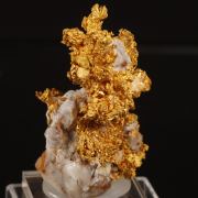 Crystallized Gold