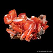 Wulfenite
