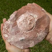 Unusual Calcite Vug