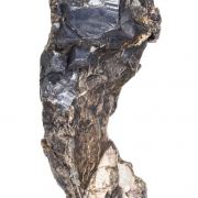 Silver (Crystallized) with Argentite