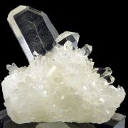 Quartz Japan Law Twin TOP