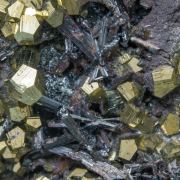 Hutchinsonite with Pyrite and Galena