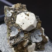 Leucite