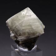 gemmy WARDITE, EOSPHORITE