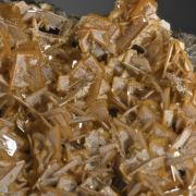 Wulfenite