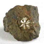 Muscovite (pseudo Cordierite)