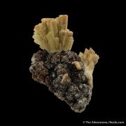Paravauxite (Type Locality)
