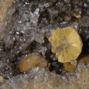 Boltwoodite