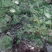 Cuprite