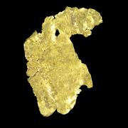 Gold leaf - Jamestown, CA. USA