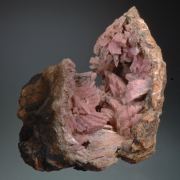 Inesite 