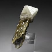 gemmy WARDITE, EOSPHORITE