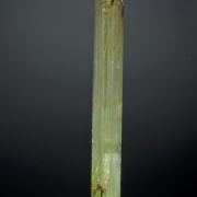 Chrome Tremolite - gem crystal