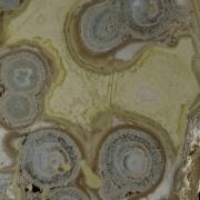 Variscite with Crandallite and Wardite - classic US