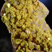 Autunite - fine crystals from type locale