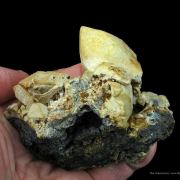 Anglesite With Cerussite, on Galena