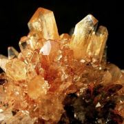 Creedite