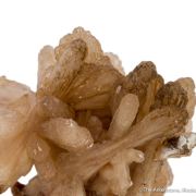 Poldevaartite (Type Locality)