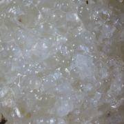 Opale / (variété - « Opal-AN ») / (variété - « Opale Hyalite ») / (« Opale vaisseau sanguin ») / Localité - San Luis Potosi, Mexique
