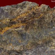 Suredaite (type locality) with Wurtzite, Sphalerite, Pyrite, and Coiraite (?)