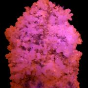 Fluorite, dolomite, calcite, quartz