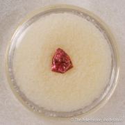 Tourmaline & Beryl var. Morganite (Rough & Cut set)