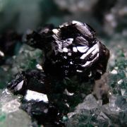Clinoatacamite